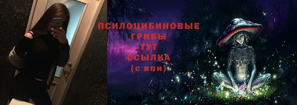 стафф Киренск
