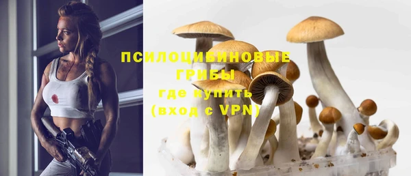 бутират Козловка