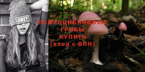 ПСИЛОЦИБИНОВЫЕ ГРИБЫ Кодинск