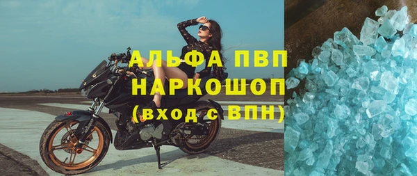 ПСИЛОЦИБИНОВЫЕ ГРИБЫ Кодинск