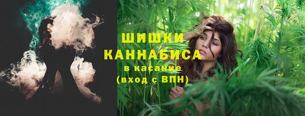 ПСИЛОЦИБИНОВЫЕ ГРИБЫ Кодинск