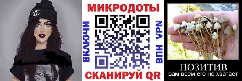 Псилоцибиновые грибы ЛСД  Калачинск 